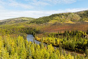 Río South Fork, Chicken, Alaska, Estados Unidos, 2017-08-28, DD 92