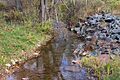 Raccoon Creek looking upstream