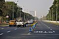 Red Road - Kolkata 2013-04-10 7739