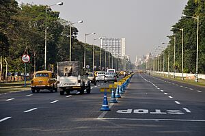 Red Road - Kolkata 2013-04-10 7739