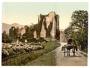 Ross Castle, II, Killarney. County Kerry, Ireland-LCCN2002717424