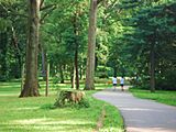 Running path at Brookdale Park (2006)