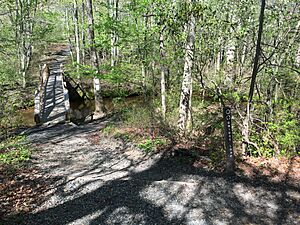 Shark River and Bridge Loop Trail at Shark River County Park