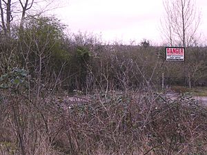 Shipton-on-Cherwell and Whitehill Farm Quarries (2).jpg