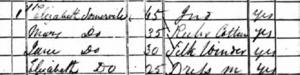 Somerville in the 1841 Census