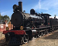 South Australian Railways Rx Class 207 'Dean Harvey'