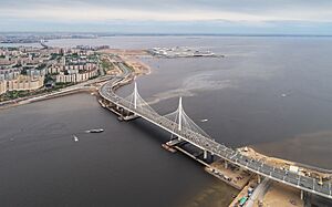 Spb 06-2017 img46 ZSD bridge at Krestovsky Stadium