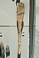 Spoon, Gravettian, Anthropos, Brno, 187965