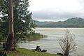 Sunshine Coast, Queensland - Lake Baroon 2