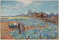 Sutherland A Cabbage Garden