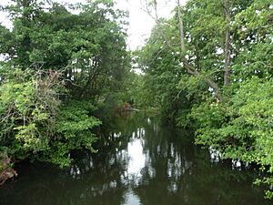 Taunton - The River Tone (geograph 3587293)