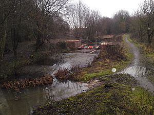 The Itchen navigation canal at Mansbridge - geograph.org.uk - 1670798