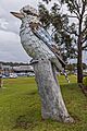 The Kurri Kurri Kookaburra at Rotary Park in Kurri Kurri