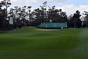 The Masters - Augusta National (16637948413)