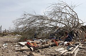 Tornado - Colerain, N. C. , April 18, 2011 -- Residents of Bertie County begin cleanup following a devasting tornado that damaged homes and businesses throughout North Carolina on A - DPLA - c6699fcc15e1d158297d2d504f1b94db