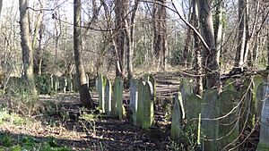 Tower Hamlets Cemetery Park 5