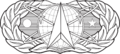 USAF - Occupational Badge - Space and Missile