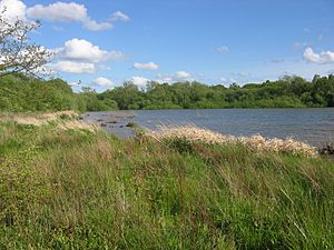 Upper Bittell reservoir