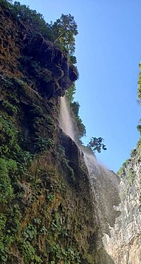 Vista de la cascada el Aguacero.jpg