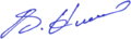 Vitali Klitschko signature