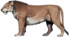 W. Gornig - P. spelaea spelaea.png