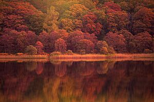 Wicklow Mountains National Park Ireland