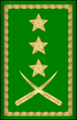 14.Mauritania Air Force-MG