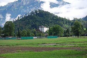 2011-07-21-Interlaken (Foto Dietrich Michael Weidmann) 070