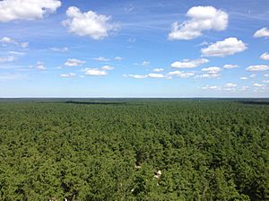 2014-08-29 12 01 24 View north from the fire tower on Apple Pie Hill in Wharton State Forest, Tabernacle Township, New Jersey