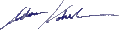 Adam Kokesh signature