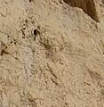 Adur Narseh Unfinished Rock Lelief