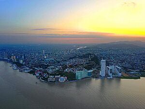 Aerial Guayaquil