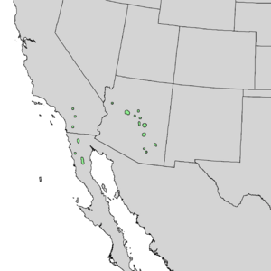 Map showing range of Arctostaphylos pringlei