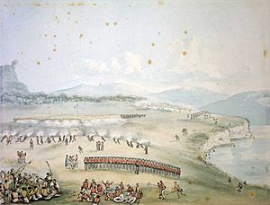 Battle of Puketutu by John Williams