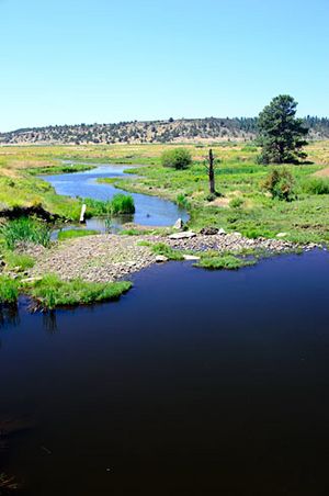 Beaver Creek (Crook County, Oregon scenic images) (croDB2638).jpg