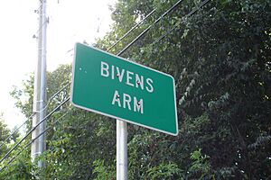 Bivensign