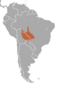 Black-tailed Marmoset area