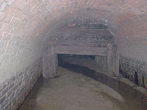 Butterley Tunnel Roof Shoring