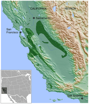 California Tiger Salamander Ambystoma californiense distribution map 3.png