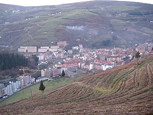 View of Cangas del Narcea