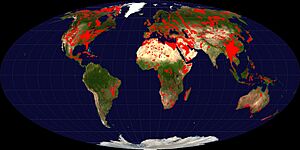 Carbonate-outcrops world