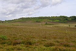 Castle hill hampshire geograph-494840-by-Jim-Champion