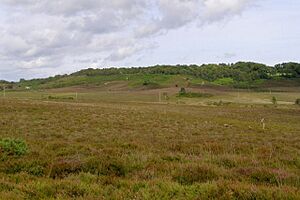 Castle hill hampshire geograph-494840-by-Jim-Champion