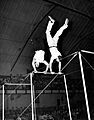 Circus-Lancaster