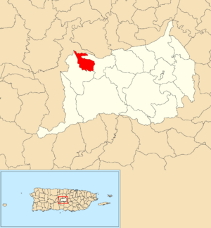 Location of Collores within the municipality of Orocovis shown in red