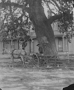 Conejo hotel timberville newbury park 1880s
