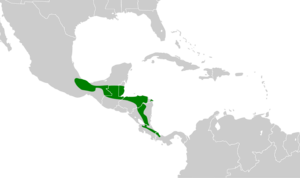 Cotinga amabilis map.svg