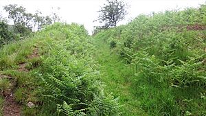 Covered access way, Kyle Castle, Dalblair, East Ayrshire, Scotland