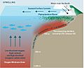 Drivers of hypoxia and acidification in upwelling shelf systems