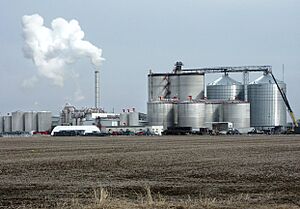 Ethanol plant